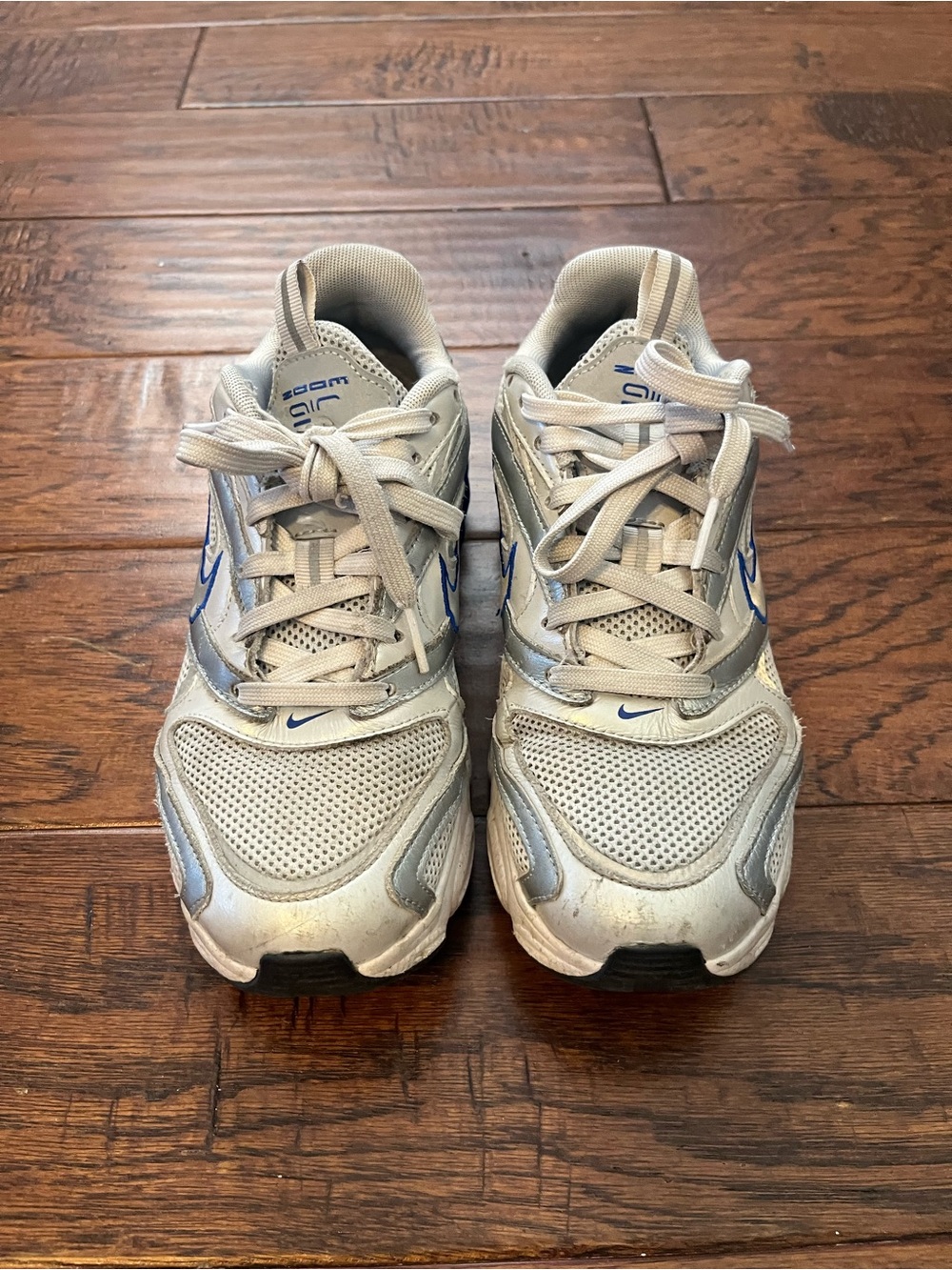 Nike Silver and Blue Mesh Running Shoes